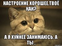 Настроение хорошее.Твоё как? а я хуйнеё занимаюсь. а Ты ,