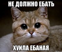 не должно ебать хуила ебаная