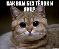 Как вам без тёлок и яиц? 