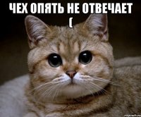 чех опять не отвечает ( 