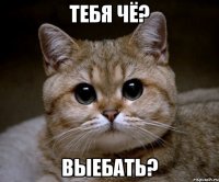 тебя чё? выебать?