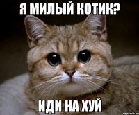 Я МИЛЫЙ КОТИК? ИДИ НА ХУЙ