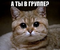 а ты в группе? 