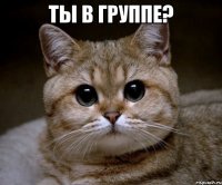 ты в группе? 