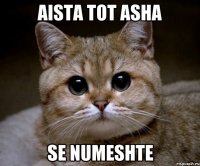 Aista tot asha se numeshte