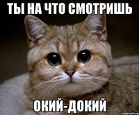 Ты на что смотришь ОКИЙ-ДОКИЙ