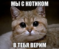 мы с котиком в тебя верим