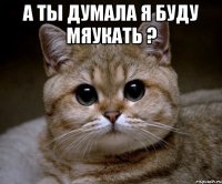 А ты думала я буду мяукать ? 