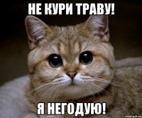 Не кури траву! Я негодую!