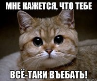 Мне кажется, что тебе всё-таки въебать!