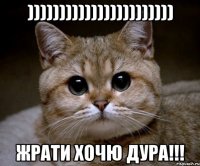 ))))))))))))))))))))))) жрати хочю дура!!!