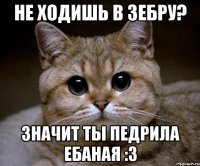 не ходишь в зебру? значит ты педрила ебаная :3