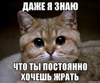 ДАЖЕ Я ЗНАЮ ЧТО ТЫ ПОСТОЯННО ХОЧЕШЬ ЖРАТЬ