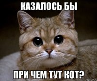 Казалось бы при чем тут кот?