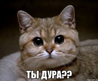  ТЫ ДУРА??