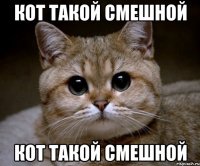 кот такой смешной кот такой смешной