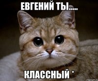 Евгений ты..... классный *