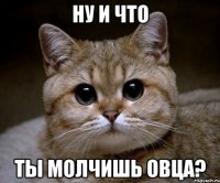 Ну и что ты молчишь овца?