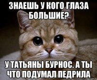 знаешь у кого глаза большие? у Татьяны Бурнос. А ты что подумал педрила