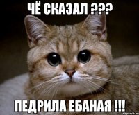 чё сказал ??? педрила ебаная !!!