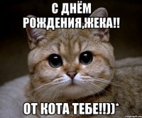 С днём рождения,Жека!! От Кота тебе!!))*