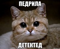 Педрила детектед