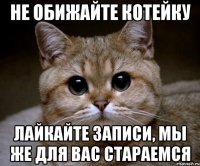 не обижайте котейку лайкайте записи, мы же для вас стараемся