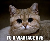  Го в warface нуб