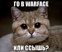 Го в warface Или ссышь?