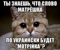 ты знаешь, что слово матрёшка по украински будет "мотрійка"?