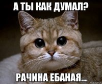 А ты как думал? Рачина ебаная...