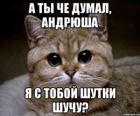 А ТЫ ЧЕ ДУМАЛ, АНДРЮША Я С ТОБОЙ ШУТКИ ШУЧУ?