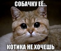 собачку её... котика не хочешь