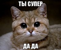 ты супер да да