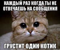 Каждый раз когда ты не отвечаешь на сообщения Грустит один котик