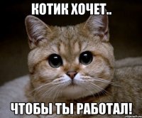 КОТИК ХОЧЕТ.. ЧТОБЫ ТЫ РАБОТАЛ!