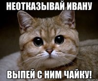 Неотказывай ивану Выпей с ним чайку!