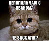 непопила чаю с иваном? Че зассала?