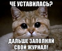 Че уставилась? Дальше заполняй свой журнал!