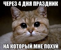 Через 4 дня праздник на который мне похуй