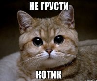 Не грусти Котик