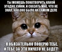 Ты можешь понатворить какой угодно хуйни, и сказать мне, что не знал, как оно было на самом деле , я обязательно поверю тебе, и тебе за это ничего не будет!