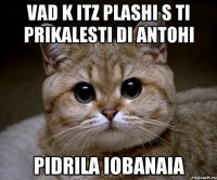 vad k itz plashi s ti prikalesti di antohi pidrila iobanaia