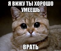 я вижу ты хорошо умеешь врать