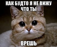 как будто я не вижу что ты врешь