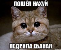 ПОШЁЛ НАХУЙ ПЕДРИЛА ЕБАНАЯ