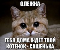 Олежка тебя дома ждет твой котенок - Сашенька