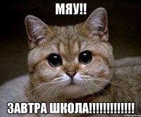 Мяу!! Завтра школа!!!!!!!!!!!!!