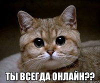  ты всегда онлайн??