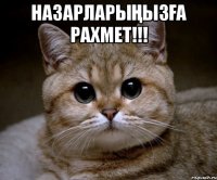 Назарларыңызға рахмет!!! 